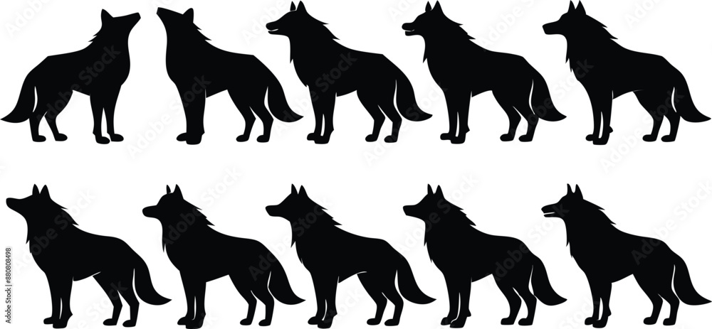 wolf silhouettes, Set of wolf black silhouette vector
wolf silhouettes, Set of wolf black silhouette vector