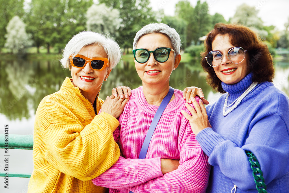 Pensioner female friends meet in the park, chatting and laughing merrily. Friendship and golden age concept. Pensioner female friends meet in the park, chatting and laughing merrily. Friendship and golden age concept.