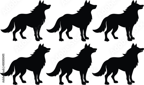 wolf silhouettes, Set of wolf black silhouette vector
