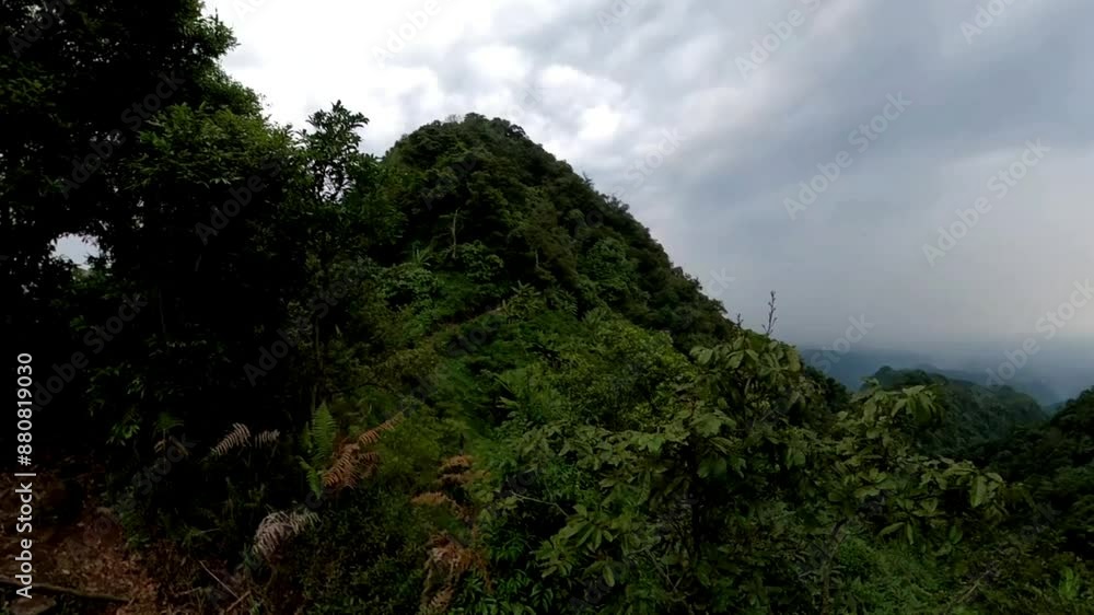 Hiking in Lush Green Mountain with Dense Forest Hiking in Lush Green Mountain with Dense Forest