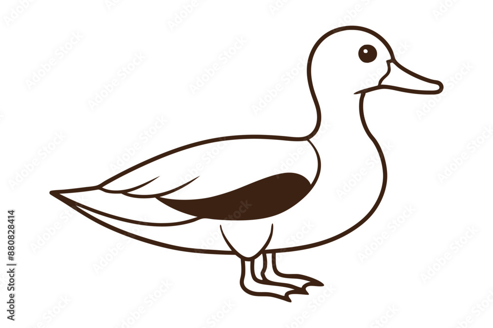 A Cute Duck vector illustration A Cute Duck vector illustration