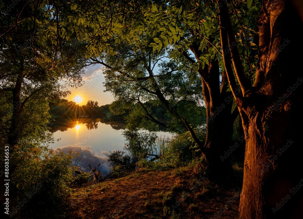 Mystical Lake Forest Mystical Lake Forest