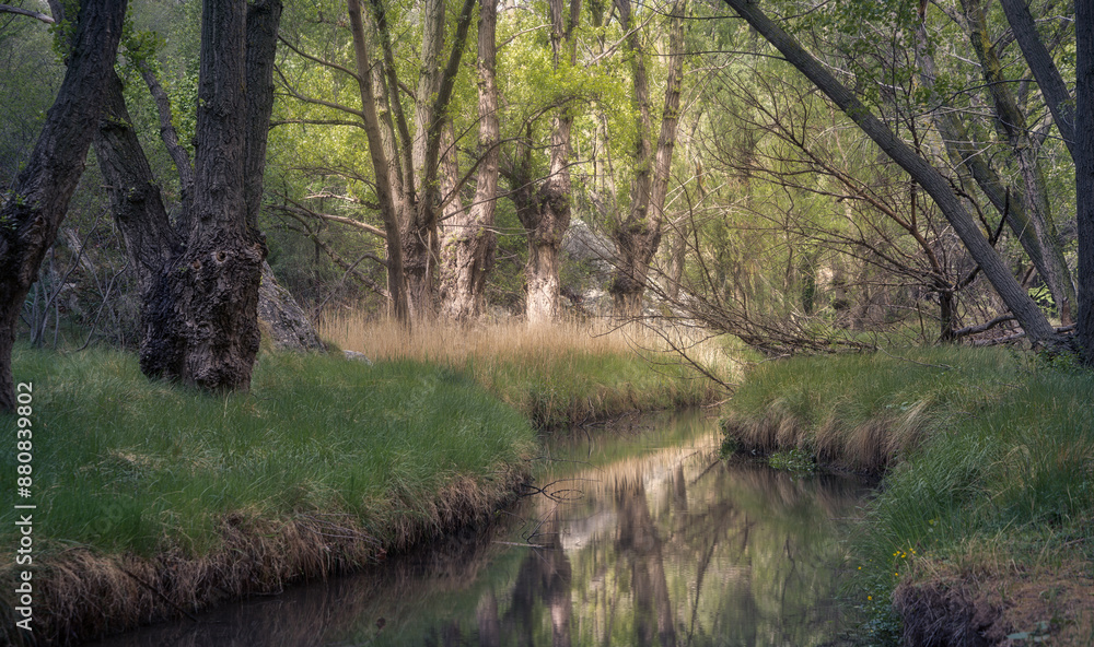 Scenic Aliaga River Path in Teruel, Spain with Lush Greenery Scenic Aliaga River Path in Teruel, Spain with Lush Greenery