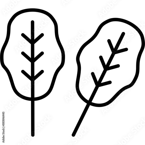 Spinach Icon