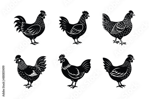 set of hen chicken Black Silhouette Bundle - Stunning Vector Illustrations for Wild or domestic animals Nature Lovers, isolated on white