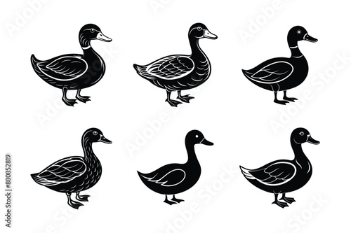 set of Duck Black Silhouette Bundle - Stunning Vector Illustrations for Nature Lovers, isolated on white