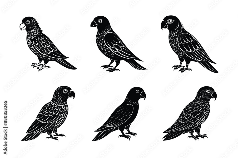 Fototapeta premium set of Parrot Bird Black Silhouette Bundle - Stunning Vector Illustrations for Nature Lovers, isolated on white