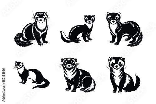 Ferret animal vector set, Ferret silhouette, Ferret Bundle, Weasel silhouette, isolated on white -vector illustration 