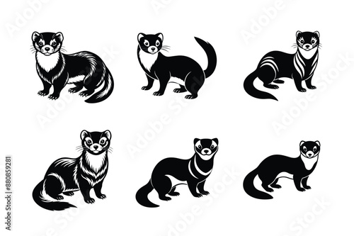 Ferret animal vector set, Ferret silhouette, Ferret Bundle, Weasel silhouette, isolated on white -vector illustration 