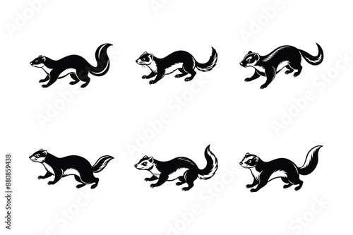 Ferret animal vector set, Ferret silhouette, Ferret Bundle, Weasel silhouette, isolated on white -vector illustration 