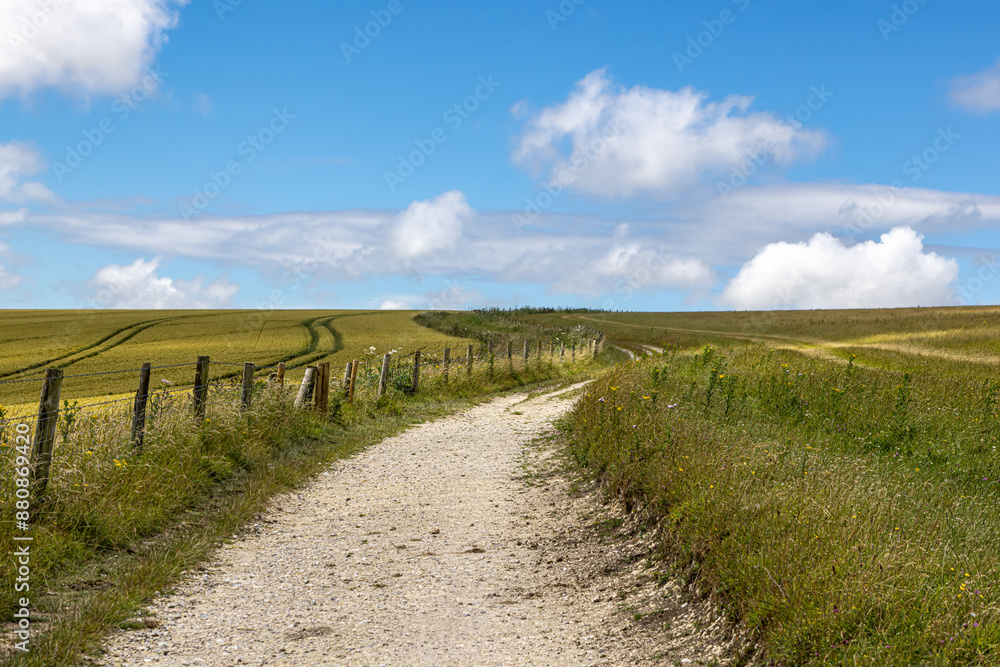 A chalk pathway through farmland in the South Downs, at Fulking Hill A chalk pathway through farmland in the South Downs, at Fulking Hill