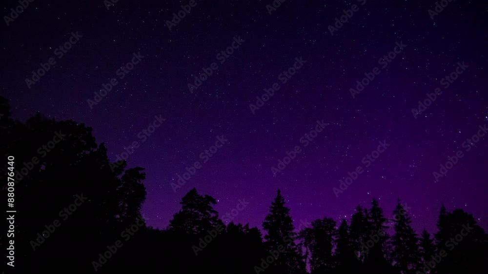 Northern lights over forest, geomagnetic storm seen from Poland. Northern lights over forest, geomagnetic storm seen from Poland.