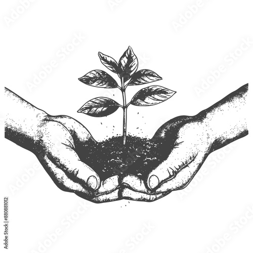 Two Hand holding soil with growing sprout with engraving style