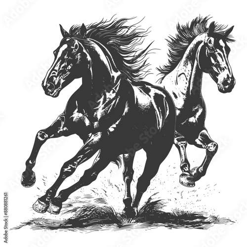two horses galloping with engraving style