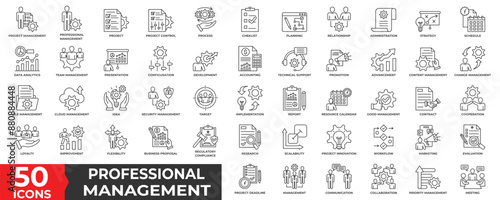 Professional Management icon collection set with project, strategy, planning, data analytics, team, management, development, accounting, change management, security, report, marketing and innovation