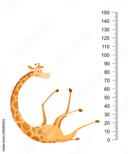 Funny giraffe. Cheerful funny giraffe with long neck. Giraffe meter wall or height chart or wall sticker. Illustration with scale from 0 to 150 centimeter to measure growth