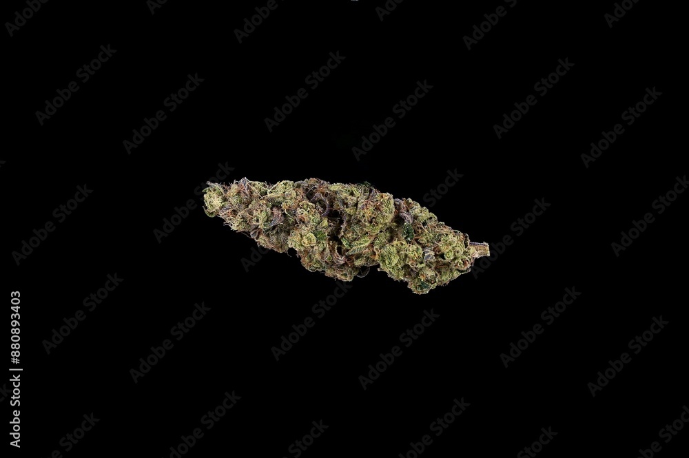 Obraz premium Cannabis Product Marketing | Strain: GMO Cookies | Grower: Golden Shores Cannabis Company, Warren, MI