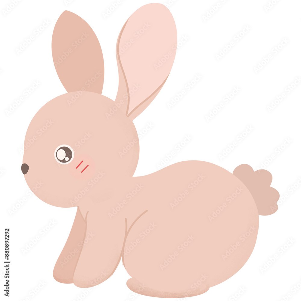 Rabbit cartoon Rabbit cartoon