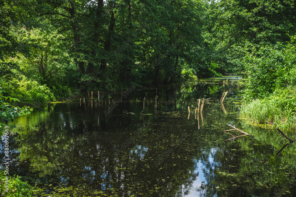 landscape of an old river bed in the bug river valley, the banks of which are overgrown with trees landscape of an old river bed in the bug river valley, the banks of which are overgrown with trees