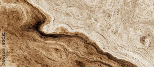 Abstract curly wood texture