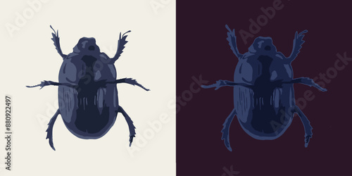 Dung beetle. Top view. Single isolated colorful illustration. Image tracing, cleaned and simplified image. Realistic style. Not AI.