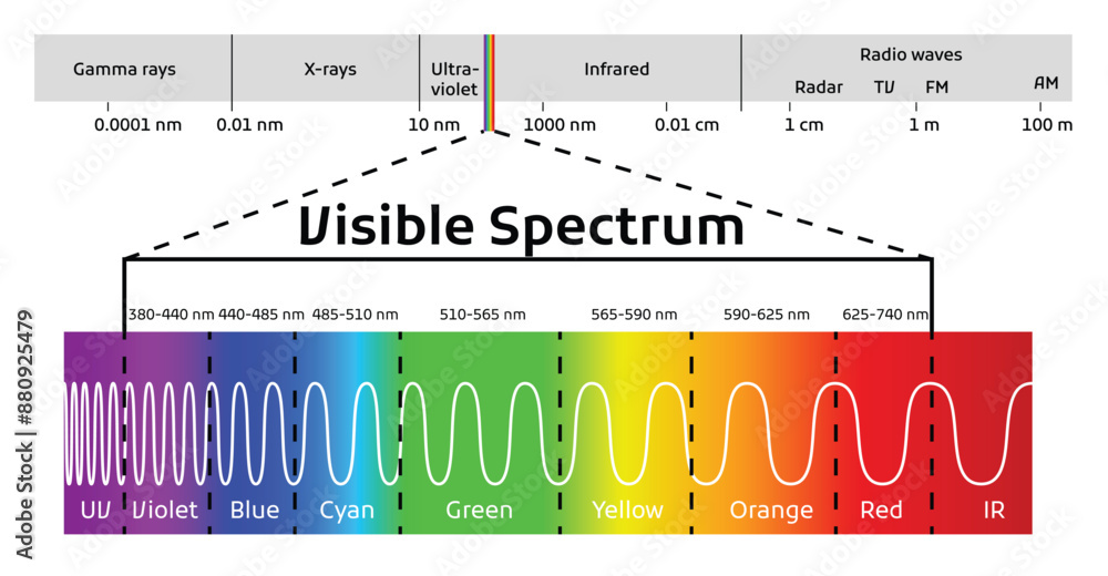 Spectrum wavelength. Visible spectrum color range. Educational physics light line. Light wave frequency. Wavelengths of the visible part of the spectrum for human eyes
