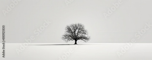 Single tree in a white landscape