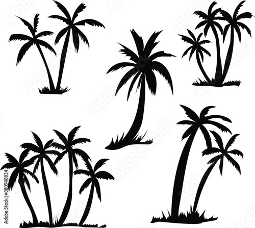 set of palm trees