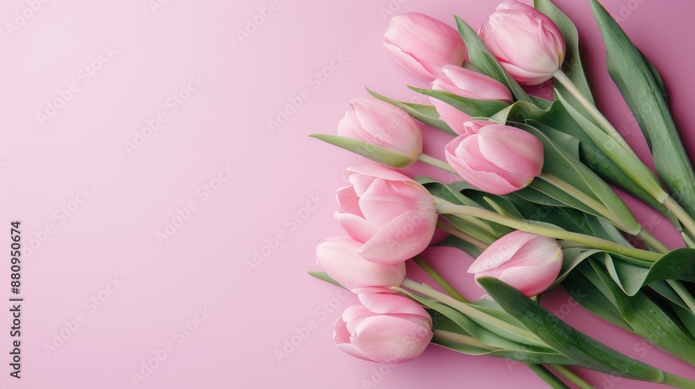 Pink tulips bouquet on pink backdrop Anniversary theme Empty space Overhead view Pink tulips bouquet on pink backdrop Anniversary theme Empty space Overhead view