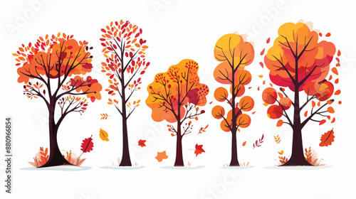 Beautiful autumn trees with colourful leaves 
