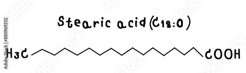 molecular structure of fatty acid stearic acid illustration