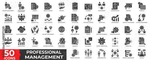 Professional Management icon collection set with project, strategy, planning, data analytics, team, management, development, accounting, change management, security, report, marketing and innovation