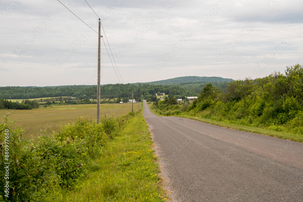 Fototapeta premium road in the countryside