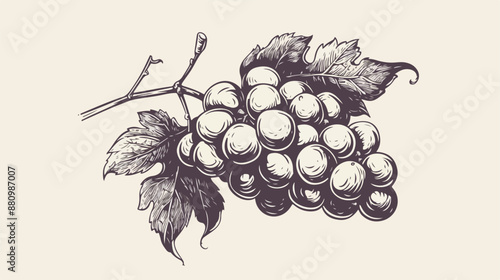 Bunch of grapes sketch icon for web mobile 