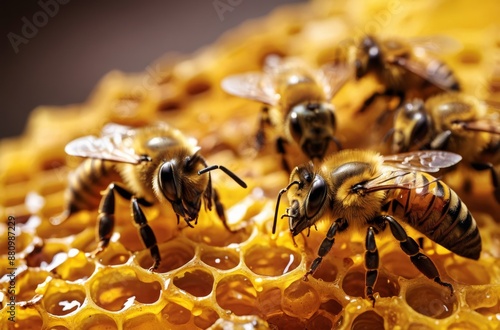 Close-up of honeybees crawl on golden honeycomb © Introvertia