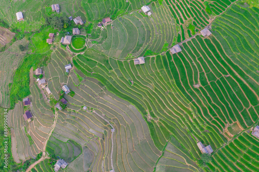 Φωτογραφία Aerial view of rice field Pa​ Bong​ Piang​ Rice Terraces​ at Pa Bong Piang village in Mae Cham, Chiangmai, Thailand