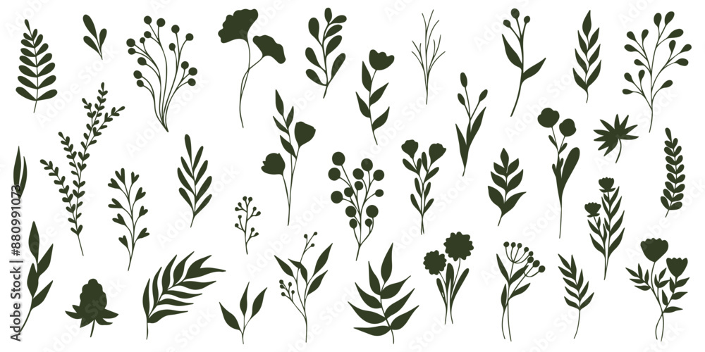 Set of elegant silhouettes of flowers, branches and leaves. Thin hand drawn vector botanical elements Set of elegant silhouettes of flowers, branches and leaves. Thin hand drawn vector botanical elements