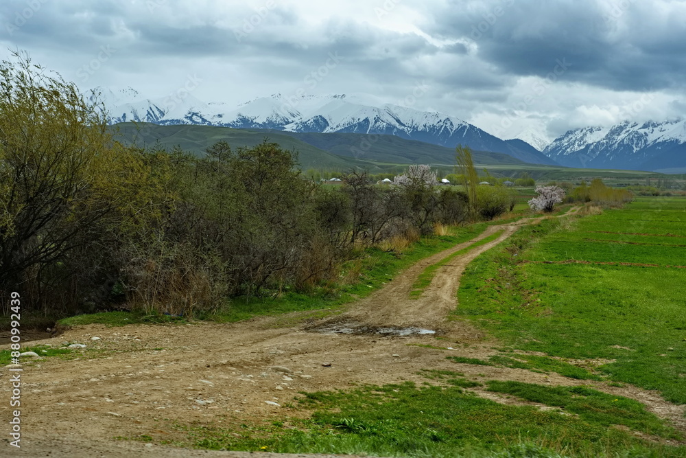 Fototapeta premium Kyrgyzstan. A dirt road through the spring fields of the valley around Lake Issyk-Kul.