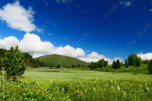 Uferlandschaft Windebensee, Kärnten photo