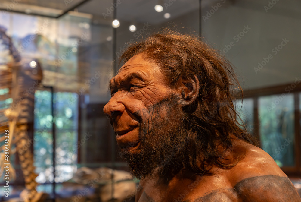 Reconstruction of Ancient Human