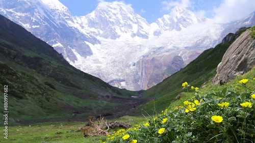 Himalayan darma valley grassland with wild flowers in front. Mt. Panchachuli peaks in snow cover in distance. 