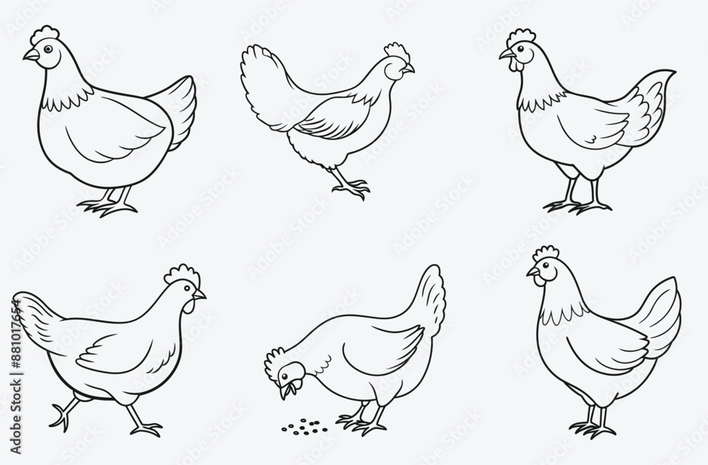 Elegant Hen Line Art Set Vector, High-Quality and Versatile Designs Elegant Hen Line Art Set Vector, High-Quality and Versatile Designs