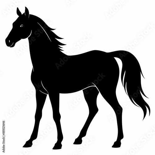 Horse Black silhouette