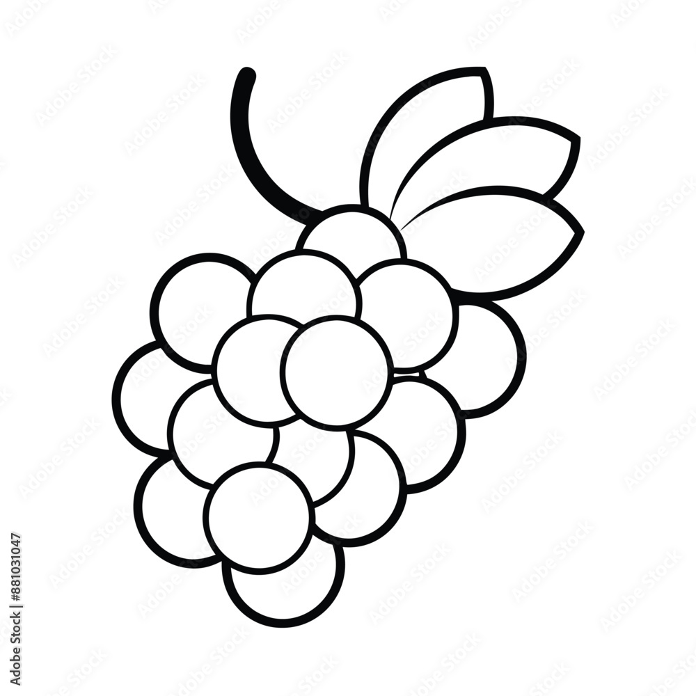 grapes line art illustration on a white background, grapes line art illustration on a white background,