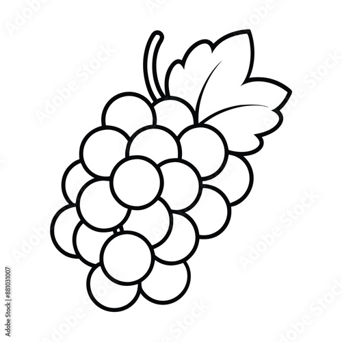 grapes line art illustration on a white background,