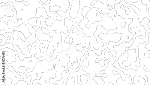 Vector topographic map background. Business concept. Abstract vector illustration
