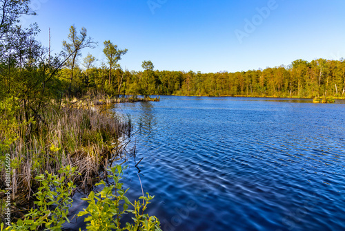 Jezioro Torfy Peat Bog Lake and forest nature reserve of Mazowiecki Landscape Park in Karczew village near Warsaw in Mazovia region of Poland photo