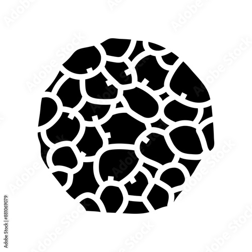 adipose tissue obesity overweight glyph icon vector. adipose tissue obesity overweight sign. isolated symbol illustration