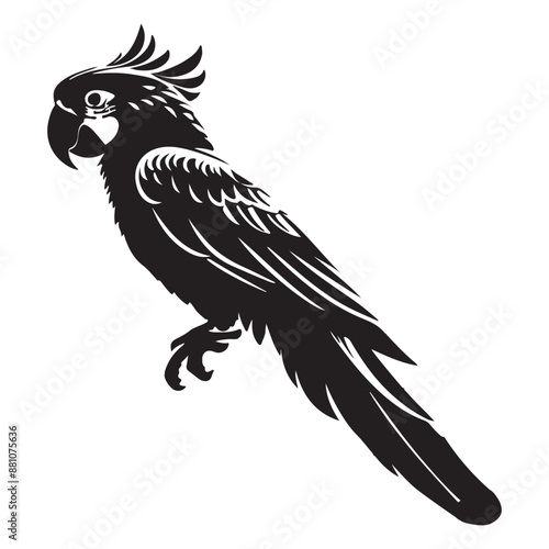 Vector style silhouette of a Parrot