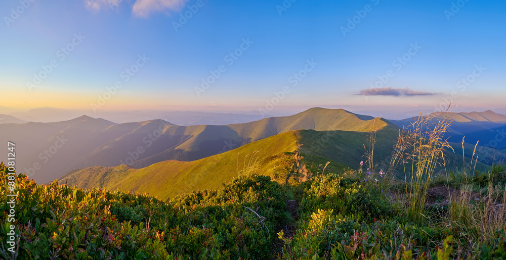 Fototapeta premium A breathtaking panorama of green hills at sunset with soft light casting gentle shadows. The lush vegetation in the foreground adds depth to the serene mountain landscape.